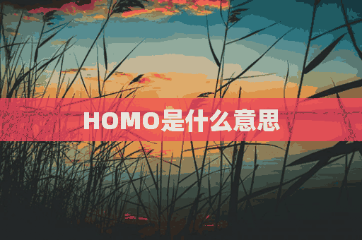 HOMO是什么意思